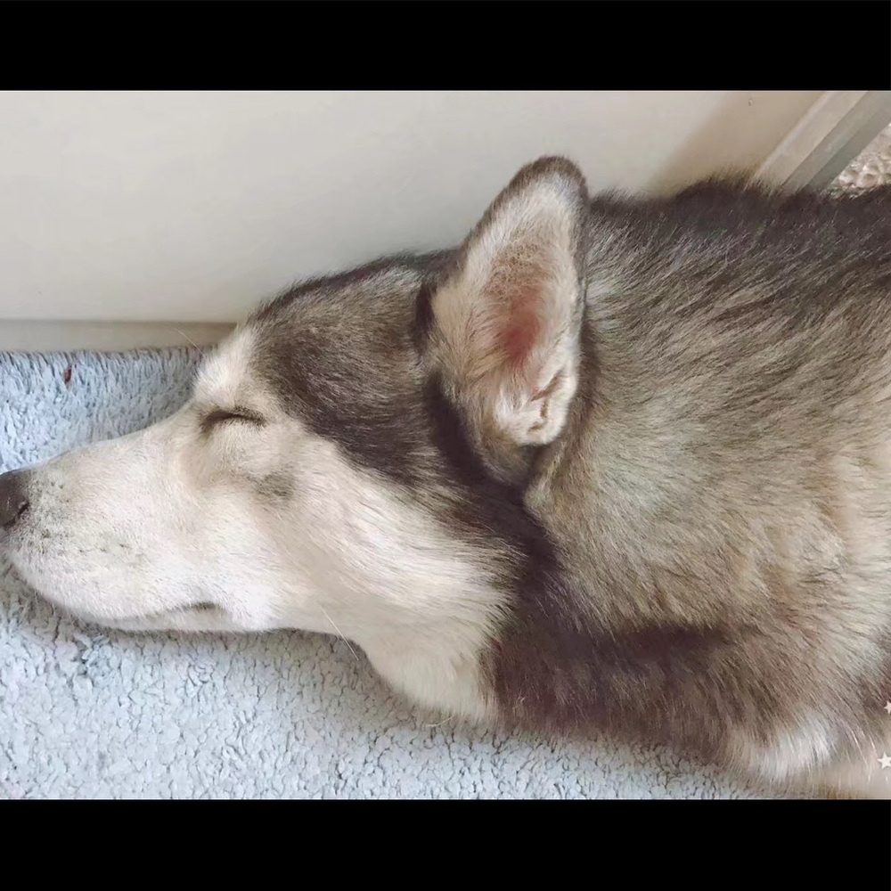 Meet your Posher, Yue